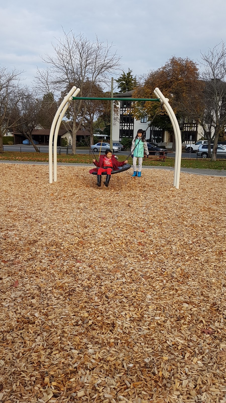 Cook Street Playground and Outdoor Fitness Circuit | 100 Cook St, Leonard St, Victoria, BC V8V, Canada | Phone: (250) 361-0600