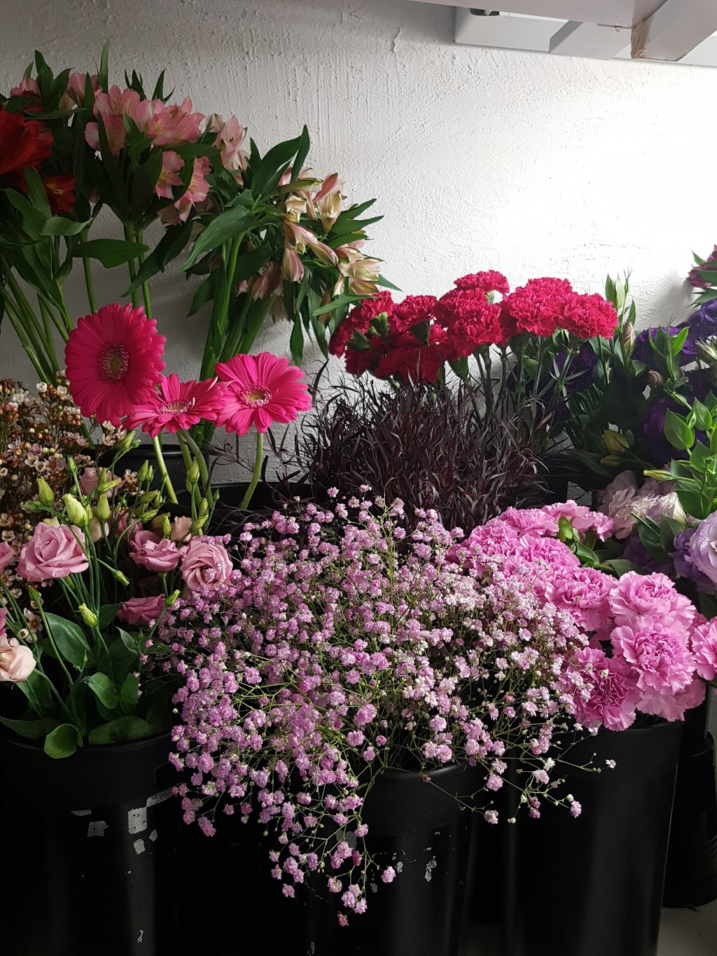 Bourgeon fleuriste | 1218 Rue Fleury E, Montréal, QC H2C 1R1, Canada | Phone: (514) 384-1616