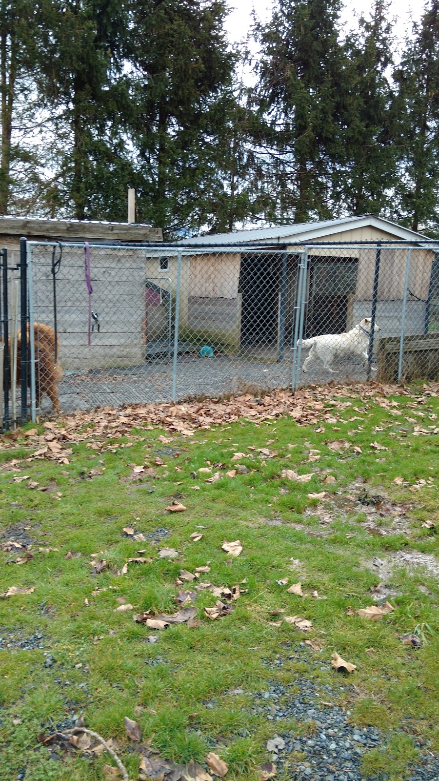 Delair Park | 35570 Old Yale Rd, Abbotsford, BC V3G 0B4, Canada | Phone: (604) 853-2281