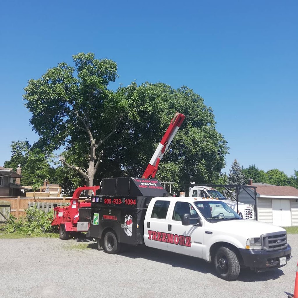 TREEMORE | 636 Cope Rd, Welland, ON L3B 5N7, Canada | Phone: (905) 933-1094