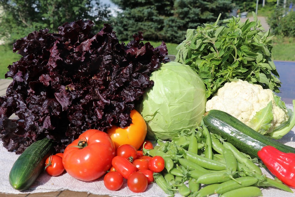 Ferme Côté Jardin | 273 Chem. Beaver Ridge, Cookshire-Eaton, QC J0B 1M0, Canada | Phone: (819) 875-1606