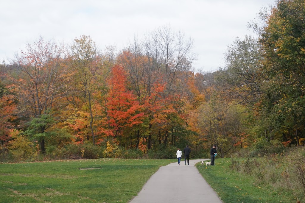 Etobicoke Valley Park | 615 Horner Ave, Etobicoke, ON M8W 2E1, Canada | Phone: (416) 393-4636
