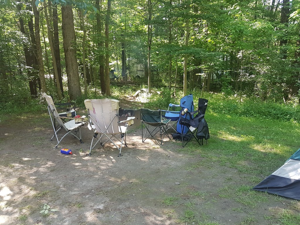 Fitzroy Provincial Park - Pine Grove Campground | 5201 Canon Smith Dr, Fitzroy Harbour, ON K0A 1X0, Canada | Phone: (613) 623-5159