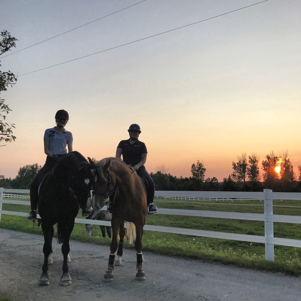 SWEETGRASS EQUESTRIAN | 13510 Fifth Line Nassagaweya, Rockwood, ON N0B 2K0, Canada | Phone: (289) 971-8778