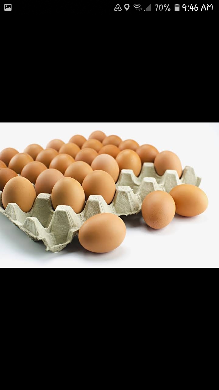 Byemoor Poultry Farm | Unnamed Road, Stettler County No. 6, AB T0J 0L0, Canada | Phone: (587) 282-4706