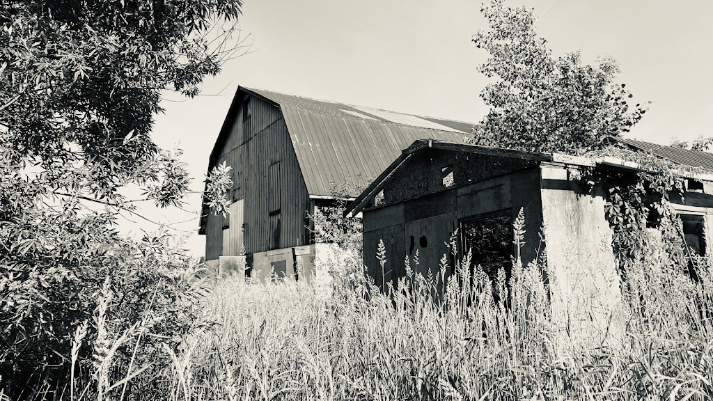 Sparky Stars Farm & Home | 8422 Netherby Rd, Niagara Falls, ON L3B 5N7, Canada | Phone: (519) 580-8695