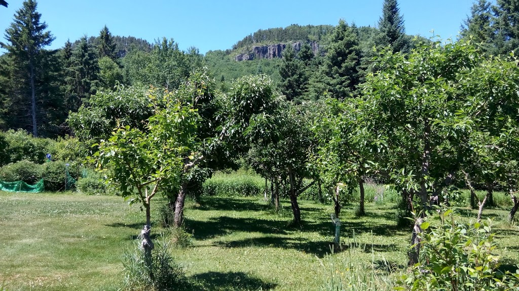 Mountain Stream Orchard | 271 Oliver Creek Rd, Neebing, ON P7L 0C4, Canada | Phone: (807) 473-0996