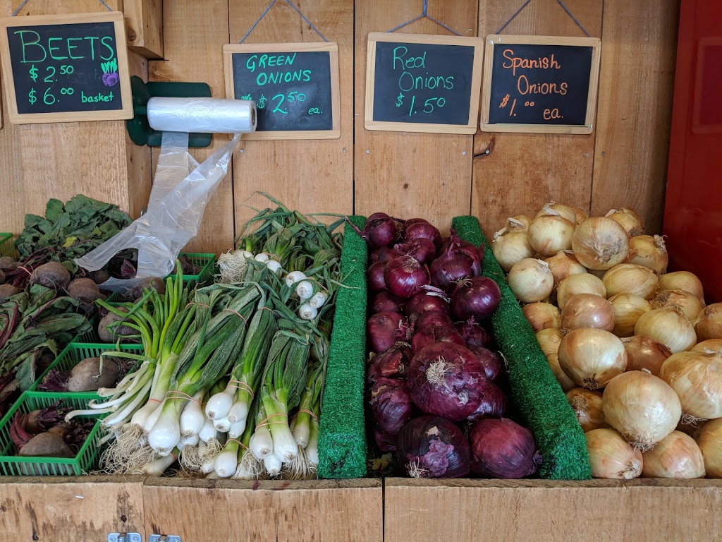 Masse Fruit and Vegetable | 35291 Zurich Hensall Rd, Zurich, ON N0M 2T0, Canada