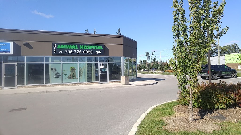 Holly Animal Hospital 494 Veterans Dr 21 Barrie ON L4N 9J5 Canada   3616a6300af7ea27a5219dd49d648c95  Ontario Simcoe County Barrie Holly Animal Hospitalhtml 