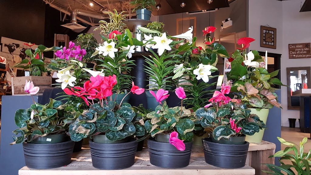 Fleuriste Tes Fleurs | 1275 Boulevard Lemire B, Drummondville, QC J2C 7X9, Canada | Phone: (819) 850-9666