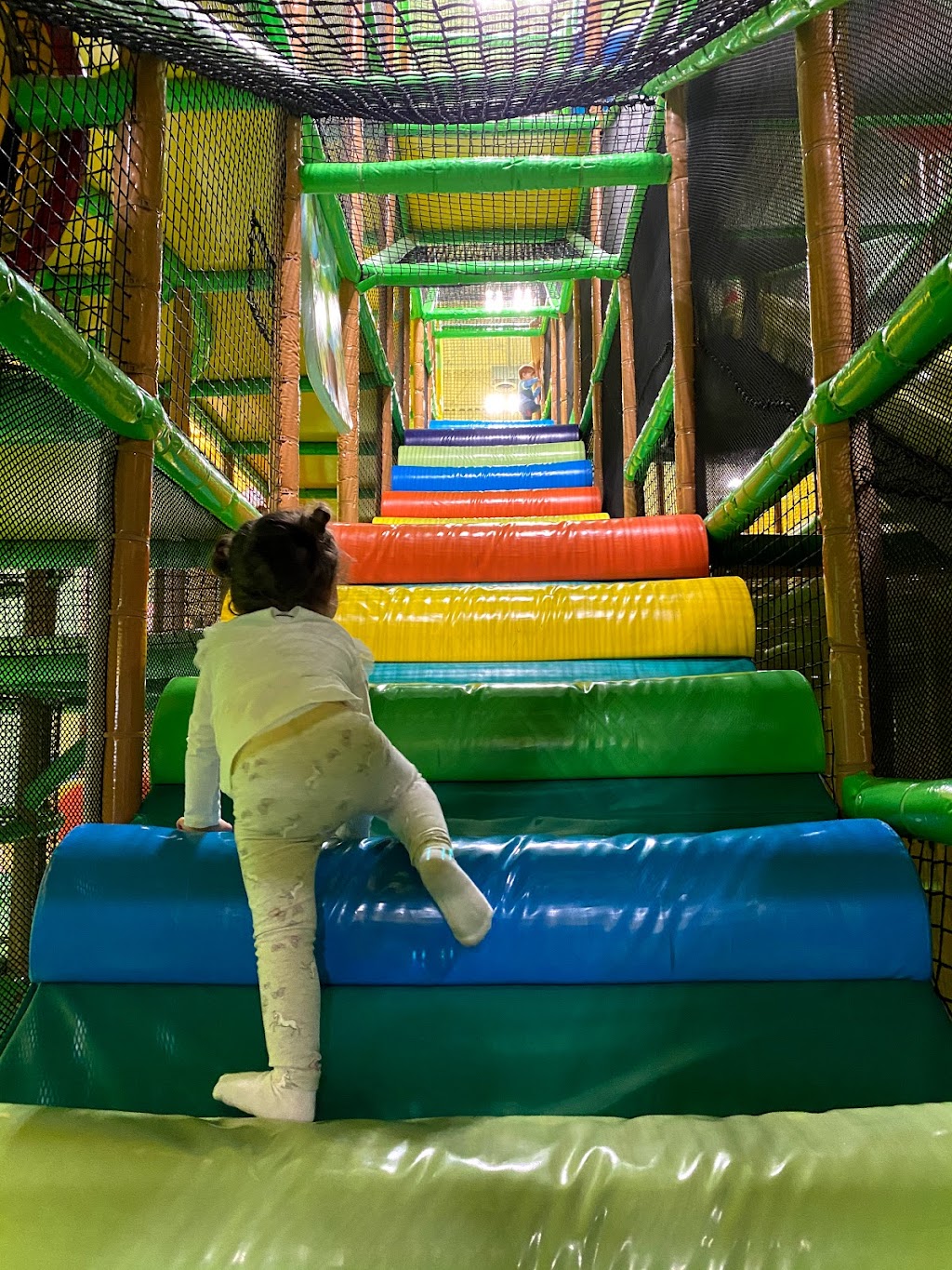 Jungle Land | 1033 Edgeley Blvd, Concord, ON L4K 0B9, Canada | Phone: (905) 760-5565
