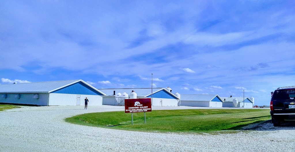 Concord Colony Farm | 74065 Blackdale Rd, Stony Mountain, MB R0C 3A0, Canada | Phone: (204) 344-5840