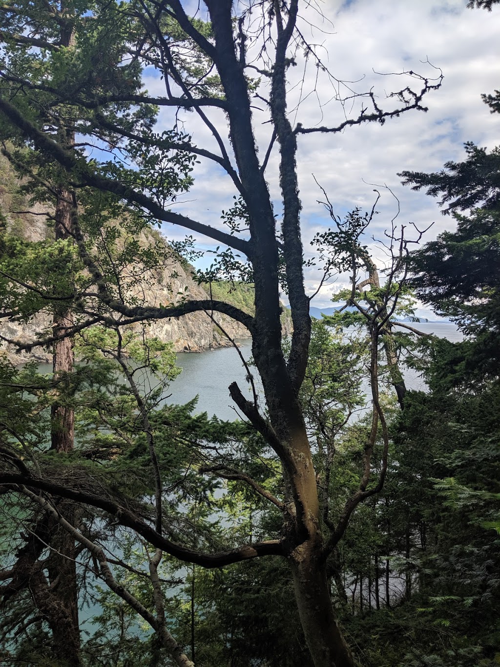 Watmough Bay | 1045 Watmough Head Rd, Lopez Island, WA 98261, USA