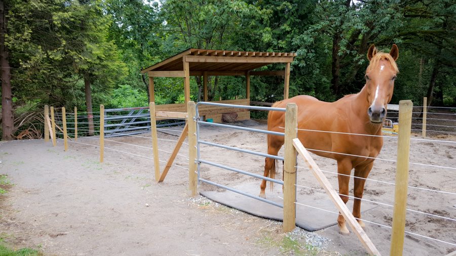 Stable Horse Training and Rehabilitation | 26136 Dewdney Trunk Rd, Maple Ridge, BC V2W 1A2, Canada | Phone: (604) 315-1517