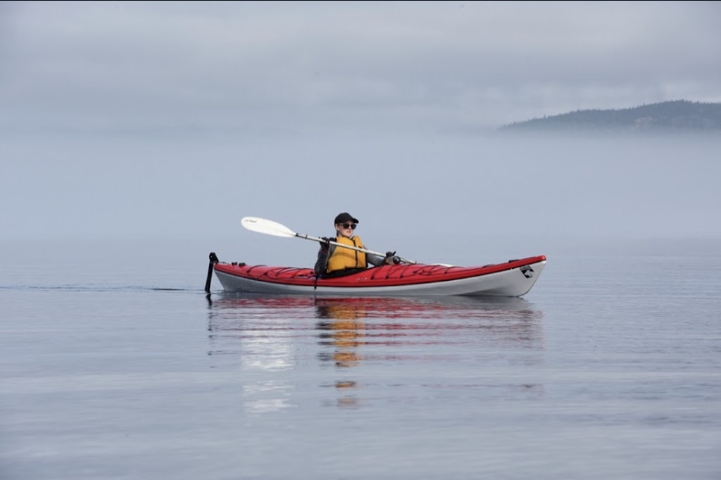 Kayak Tours Campbell River | 1811 Surgenor Rd, Black Creek, BC V9J 1G6, Canada | Phone: (250) 337-5717