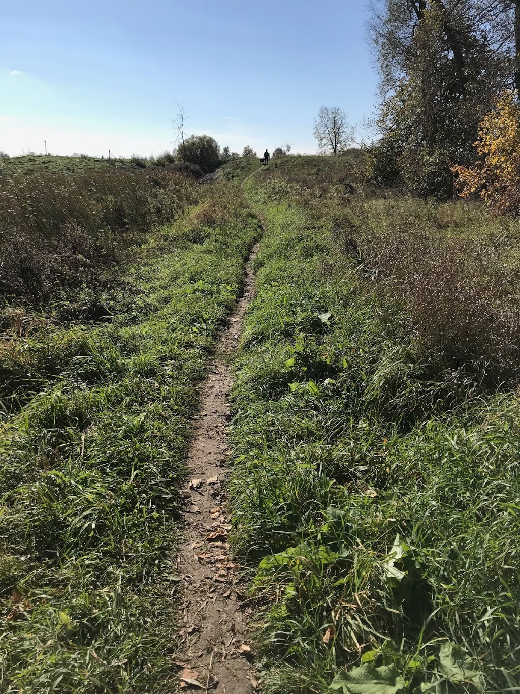 Health Valley Trail | Health Valley Trail, 3075 University Ave, Waterloo, ON N2J 3S5, Canada