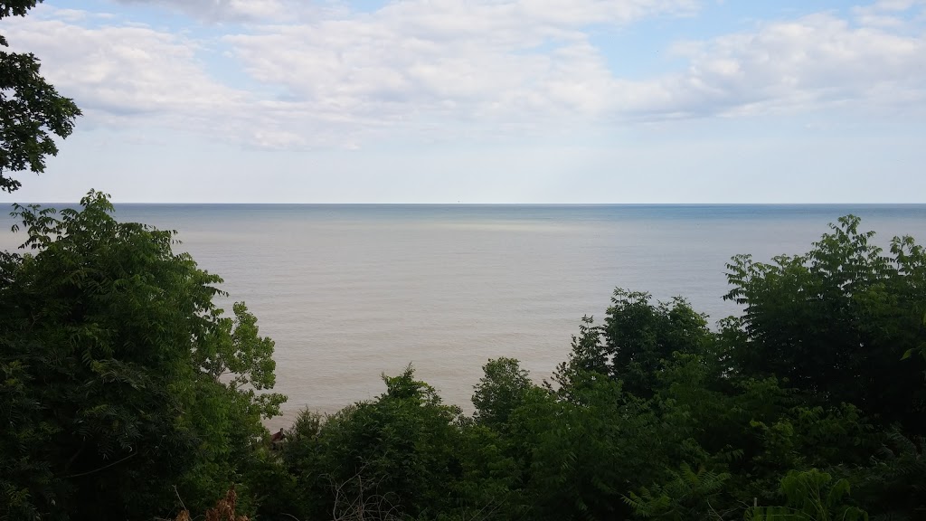 The Lakewood Inc. | 22499 Gray Line, Rodney, ON N0L 2C0, Canada | Phone: (519) 785-2020