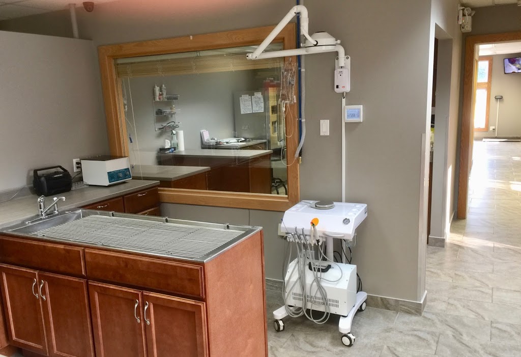Vet-Champlain Animal Care Inc | 880 Champlain St, Dieppe, NB E1A 1P7, Canada | Phone: (506) 830-6888