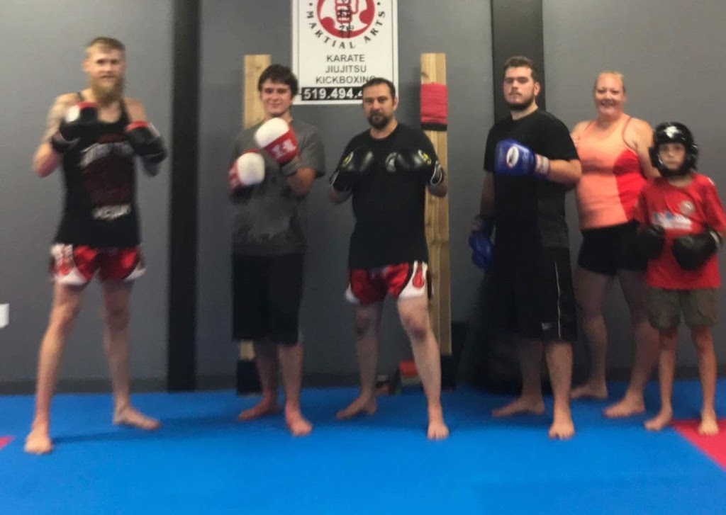 KNS Martial Arts | 1305 Commissioners Rd E, London, ON N6M 0B8, Canada | Phone: (519) 494-4816