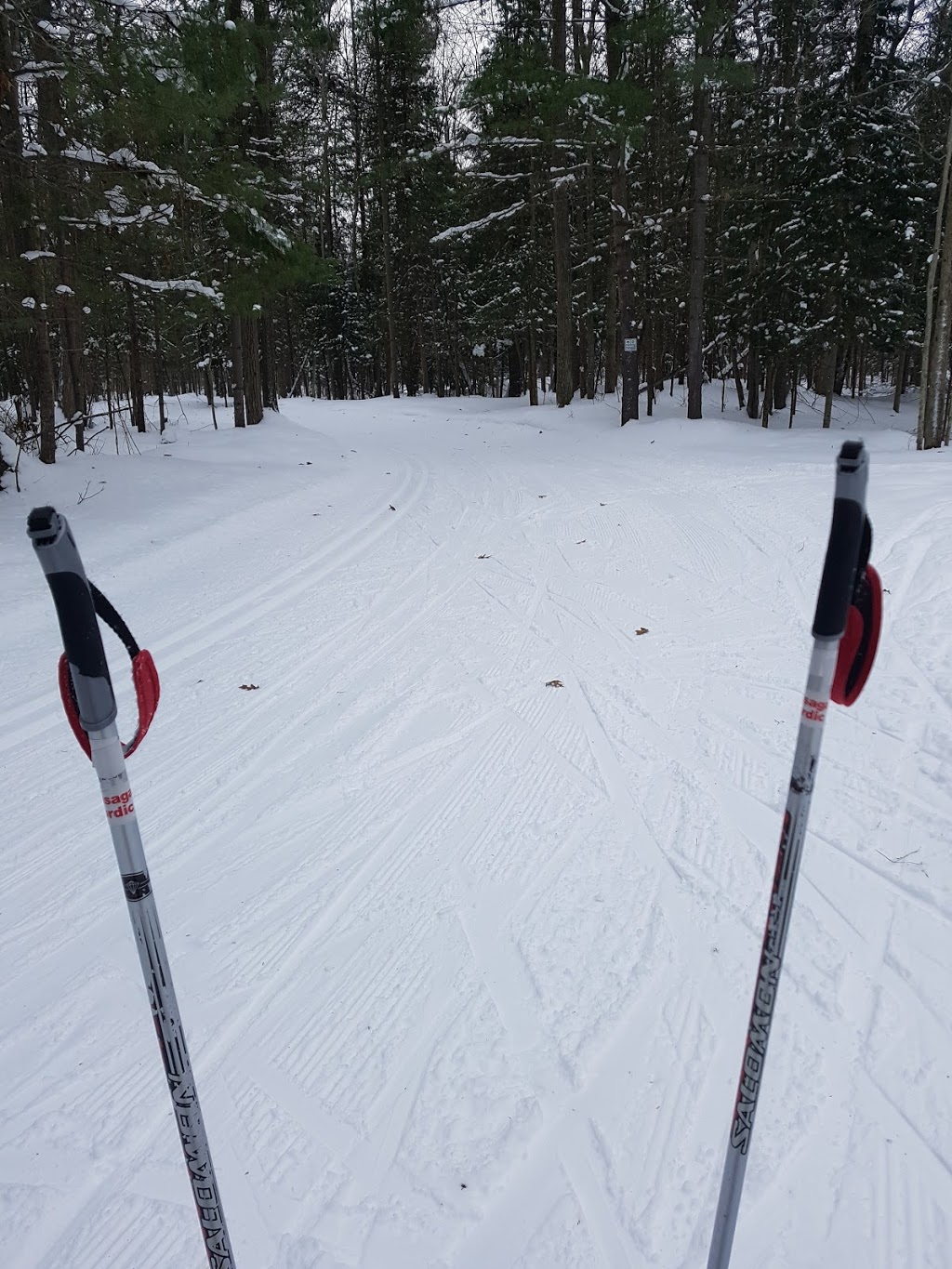 Wasaga Nordic and Trail Centre - Wasaga Beach Provincial Park | 101 Blueberry Trail, Wasaga Beach, ON L9Z 1S5, Canada | Phone: (705) 429-0943