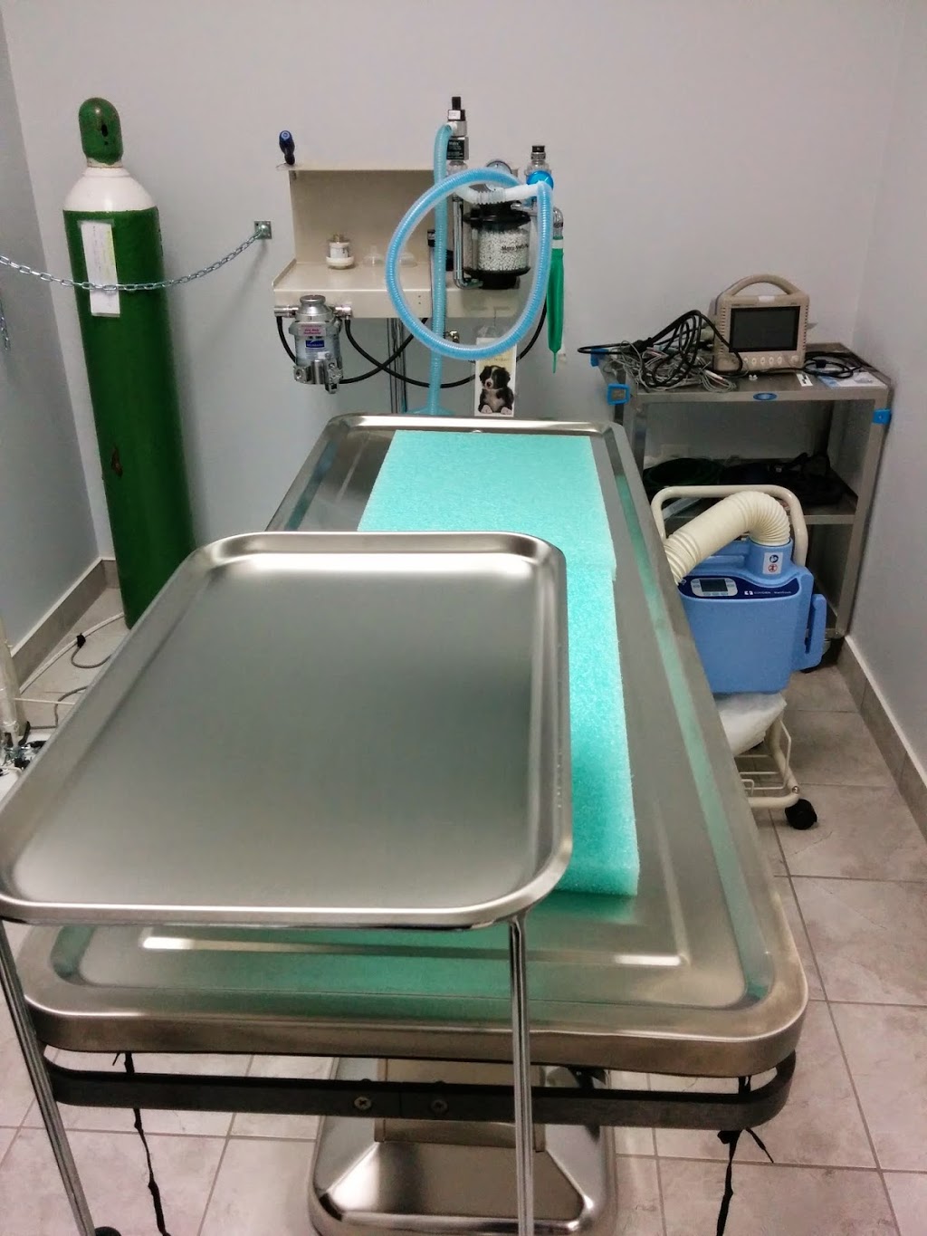 Strasburg Animal Hospital | 700 Strasburg Rd #12, Kitchener, ON N2E 2M3, Canada | Phone: (519) 569-8000