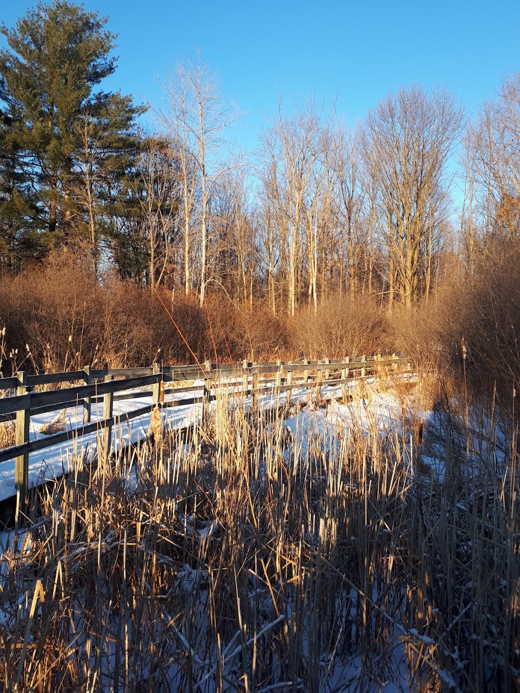 Beaver Trail | Moodie Dr, Nepean, ON K2R 1H8, Canada