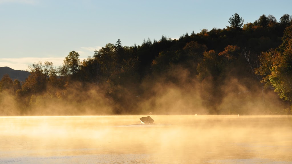 Domaine Aventurier Inc. | 131 Chemin du Poisson Blanc, Notre-Dame-du-Laus, QC J0X 2M0, Canada | Phone: (819) 767-2362