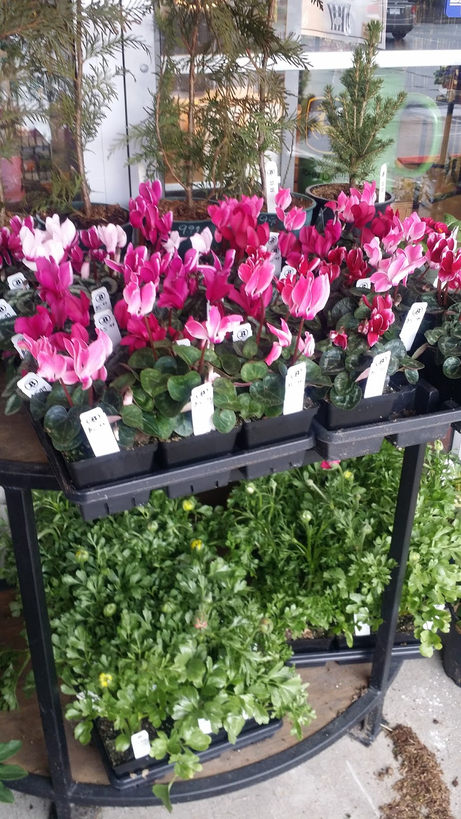 Buckerfields Feeds & Pet Supplies | 1970 Keating Cross Rd, Saanichton, BC V8M 2A6, Canada | Phone: (250) 652-9188