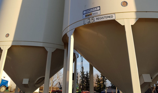 Penwest Seeds - Wheat Seed Alberta | 1307 6 Ave N, Three Hills, AB T0M 2A0, Canada | Phone: (403) 443-2577