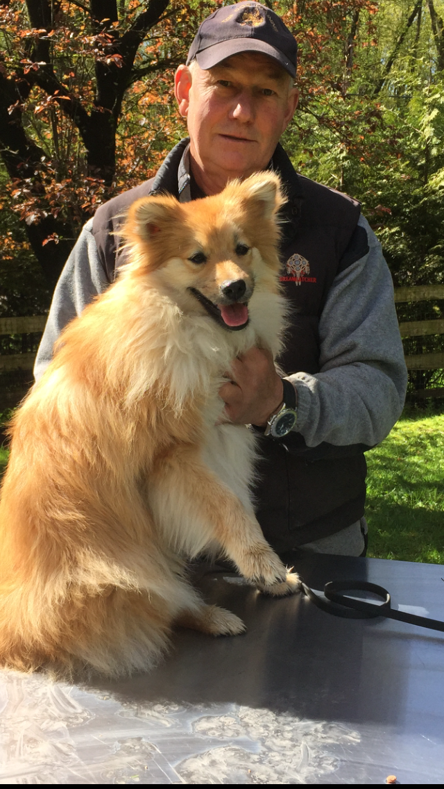 Top Dog Training | 24333 12 Ave, Langley, BC V2Z 1L2, Canada | Phone: (604) 351-3647