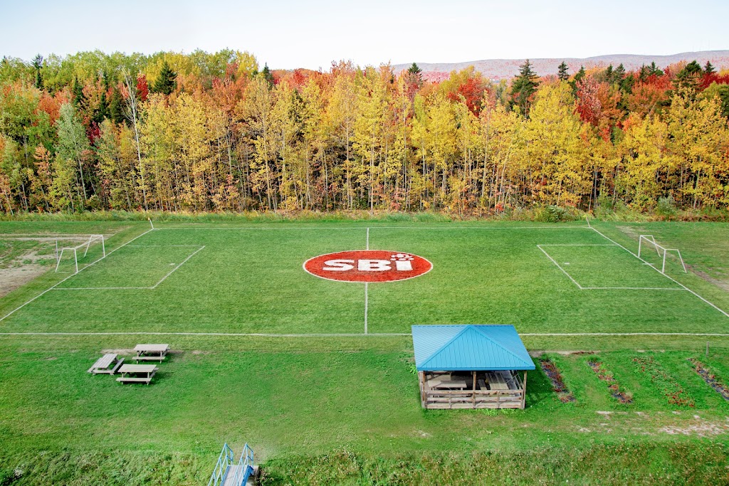 SBI - Stove Builder International inc. | 250 Rue de Copenhague, Saint-Augustin-de-Desmaures, QC G3A 2H3, Canada | Phone: (418) 878-3040