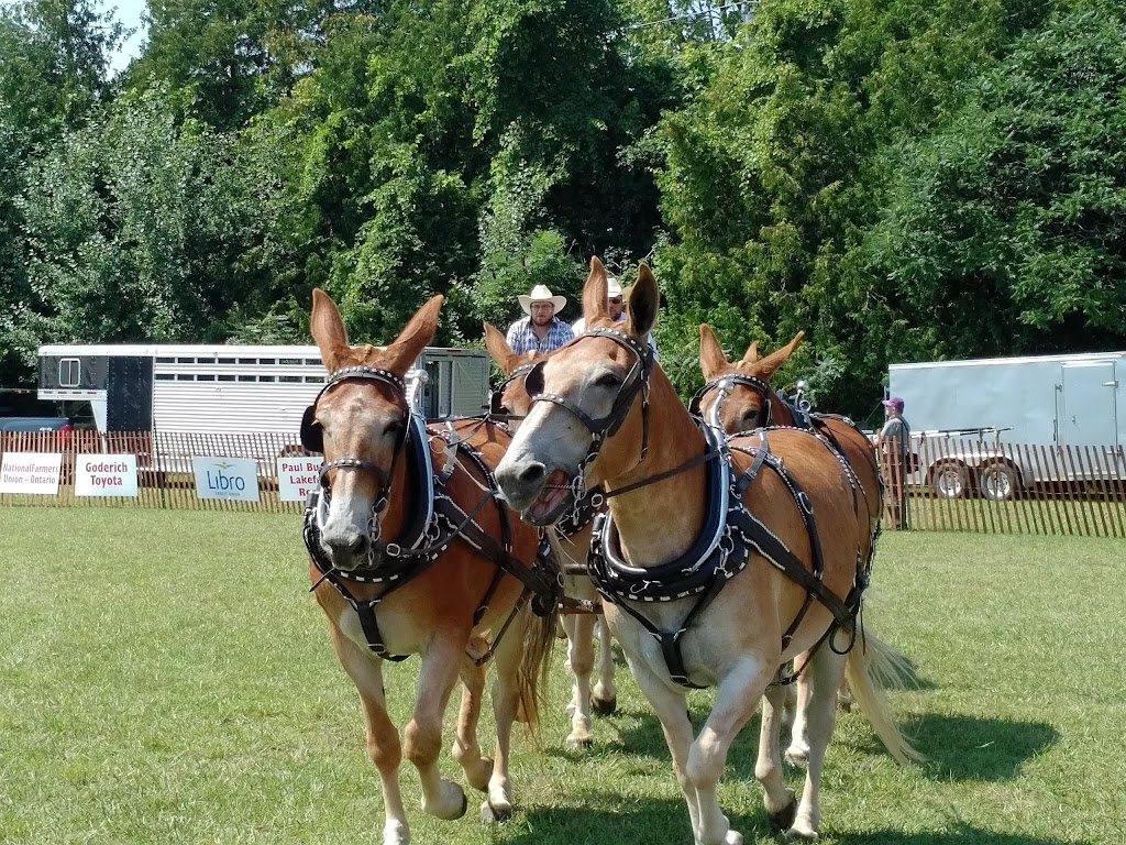 Bayfield Agricultural Society Grounds | 1 Fry St, Bayfield, ON N0M 1G0, Canada | Phone: (519) 482-5490
