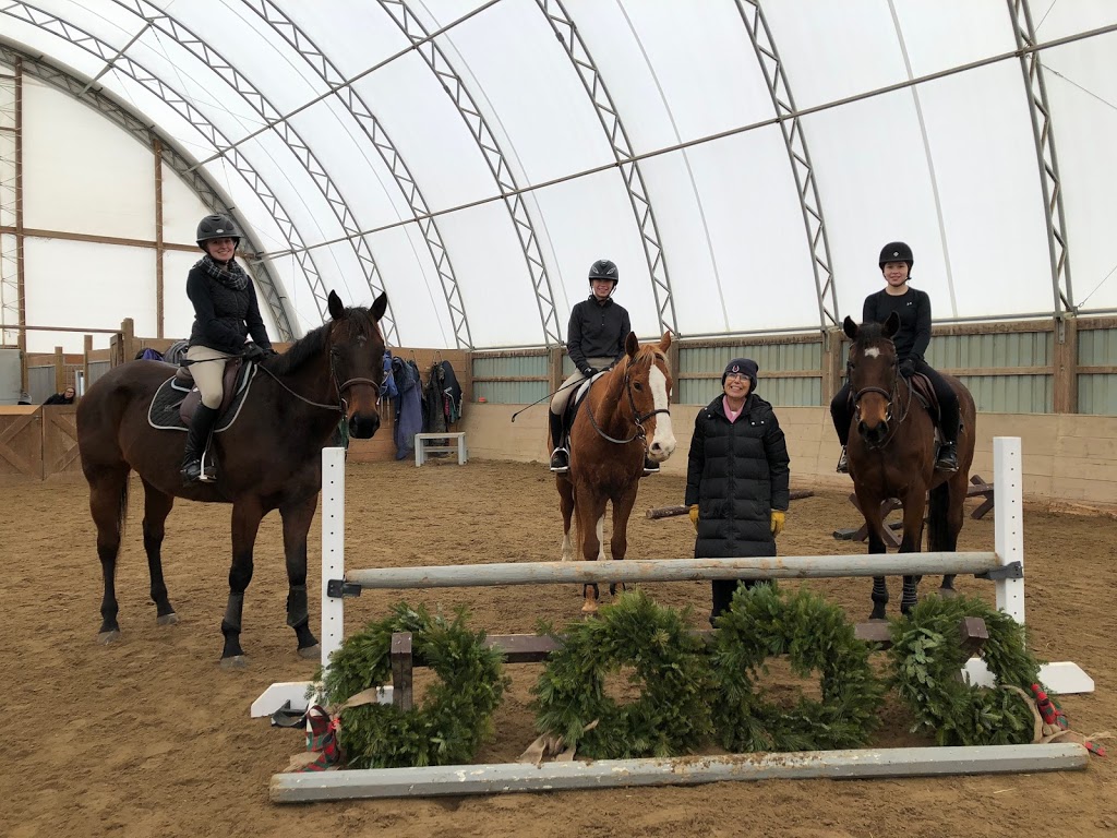 Foxwood Farm Equestrian Centre | 2042 Line 13, Gilford, ON L0L 1R0, Canada | Phone: (905) 775-0155