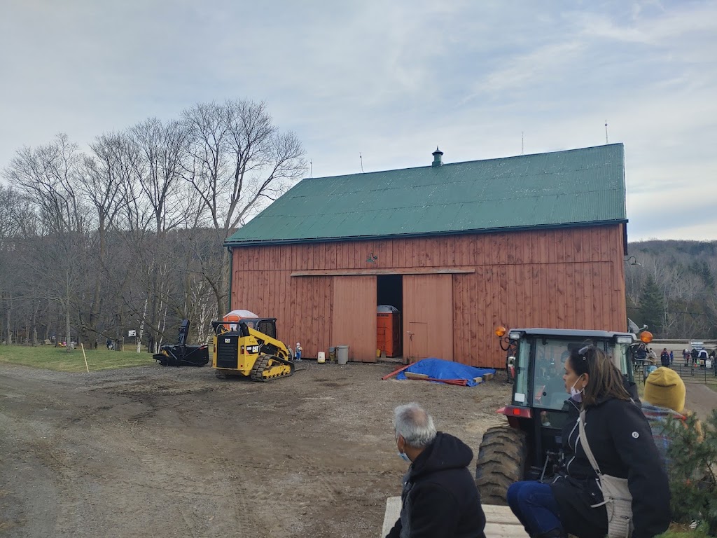 Hockley Valley Farm | 307509 Hockley Rd, Mono, ON L9W 6M9, Canada | Phone: (905) 715-0520
