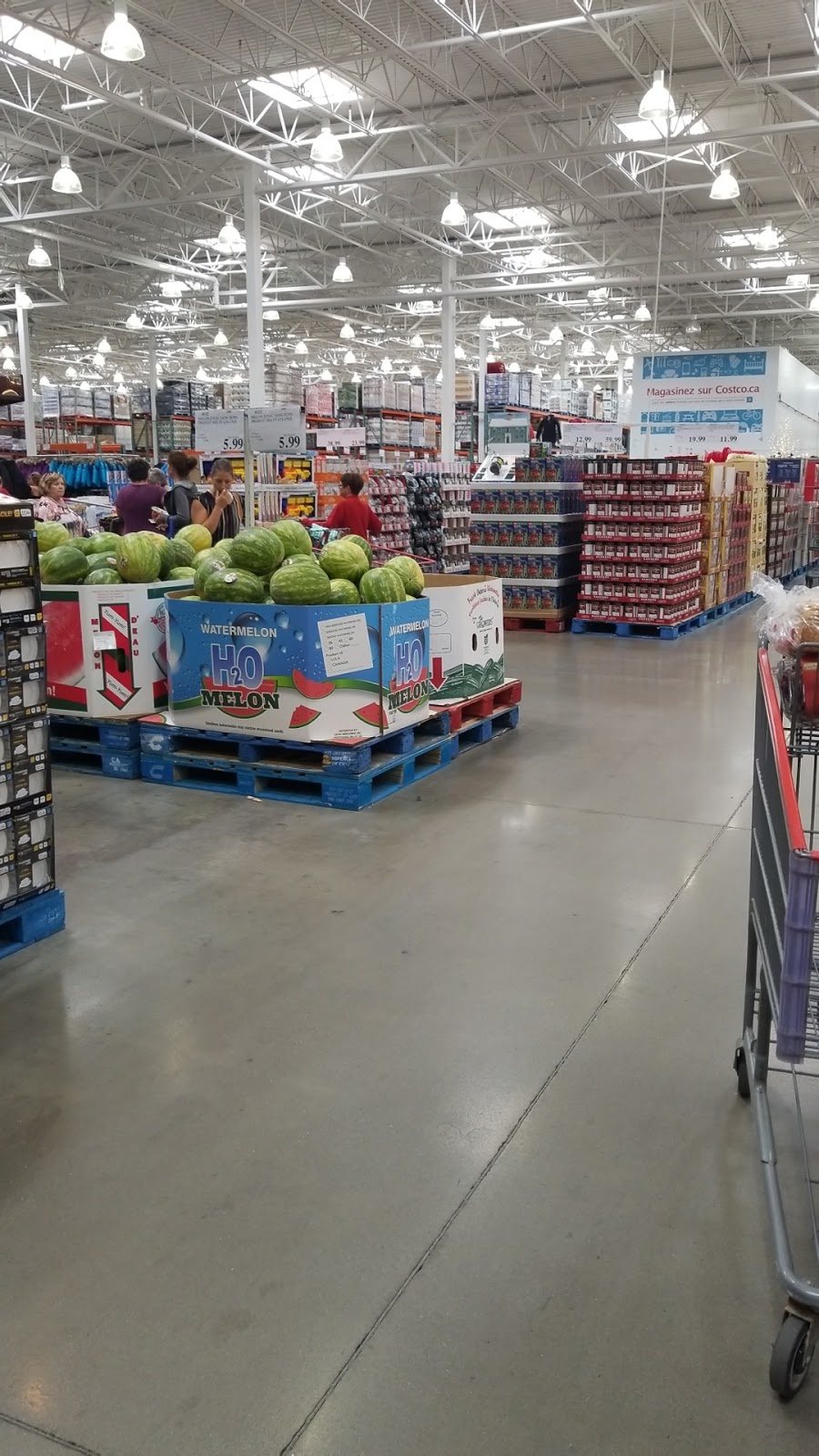 Costco Wholesale | 1160 Rue de la Concorde, Lévis, QC G6W 0M7, Canada | Phone: (418) 834-7100