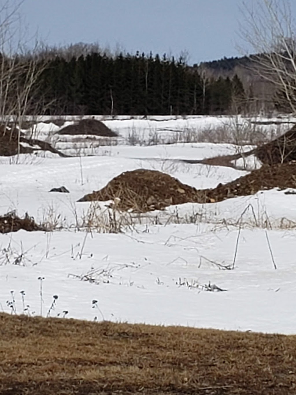 Construction Proulx et Quirion INC | 125 Rte de la Normandie, Montmagny, QC G5V 3R9, Canada | Phone: (418) 248-9277