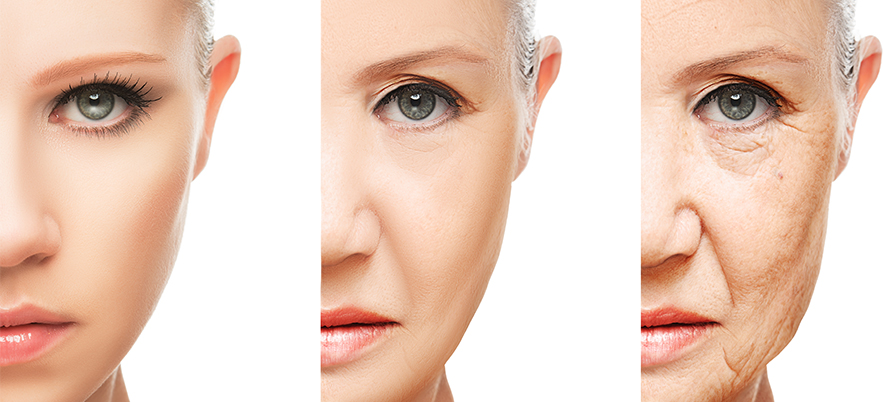 Lasting Touch Skincare Electrolysis & Day Spa | 310 Albert Ave N, Listowel, ON N4W 1T9, Canada | Phone: (519) 291-4444