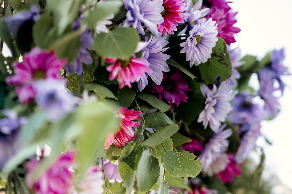 Wild Muse Weddings | 1031 Queenston Rd, Cambridge, ON N3H 3K7, Canada | Phone: (226) 581-1277
