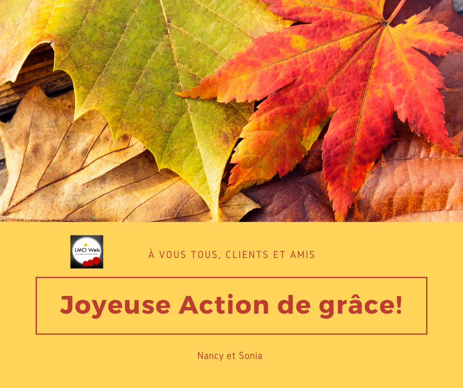 LMCIweb | 3512 Av. Beaupré, Shawinigan, QC G9N 7S3, Canada | Phone: (873) 378-5836