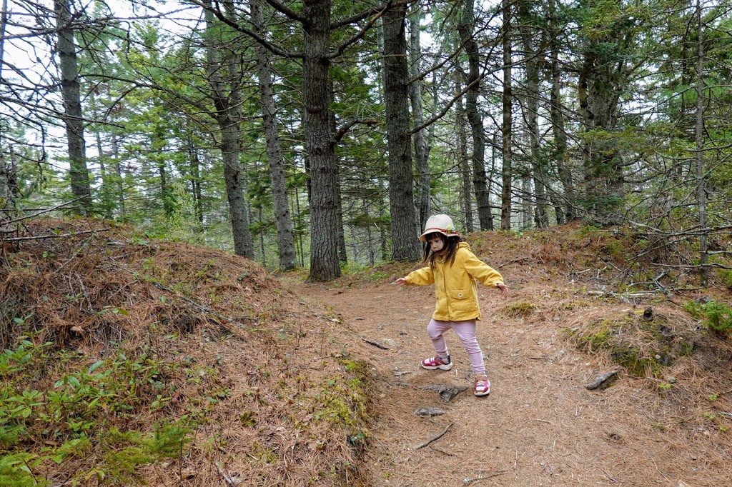 MacElmons Pond Provincial Park | 219 MacElmon Rd, Debert, NS B0M 1G0, Canada | Phone: (866) 230-1586
