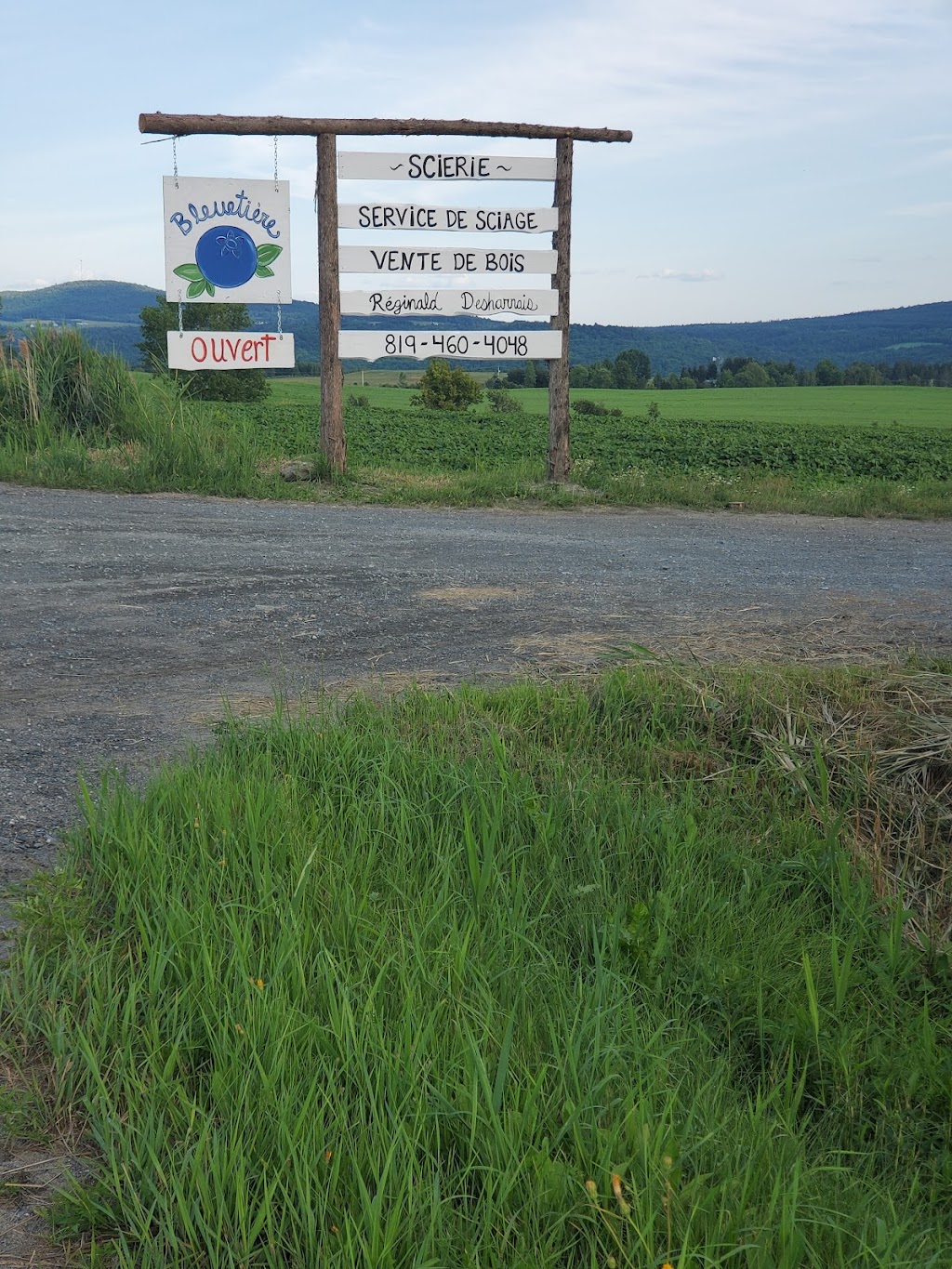 Bleuetière | 9000 QC-161, Chesterville, QC G0P 1J0, Canada | Phone: (819) 740-7022