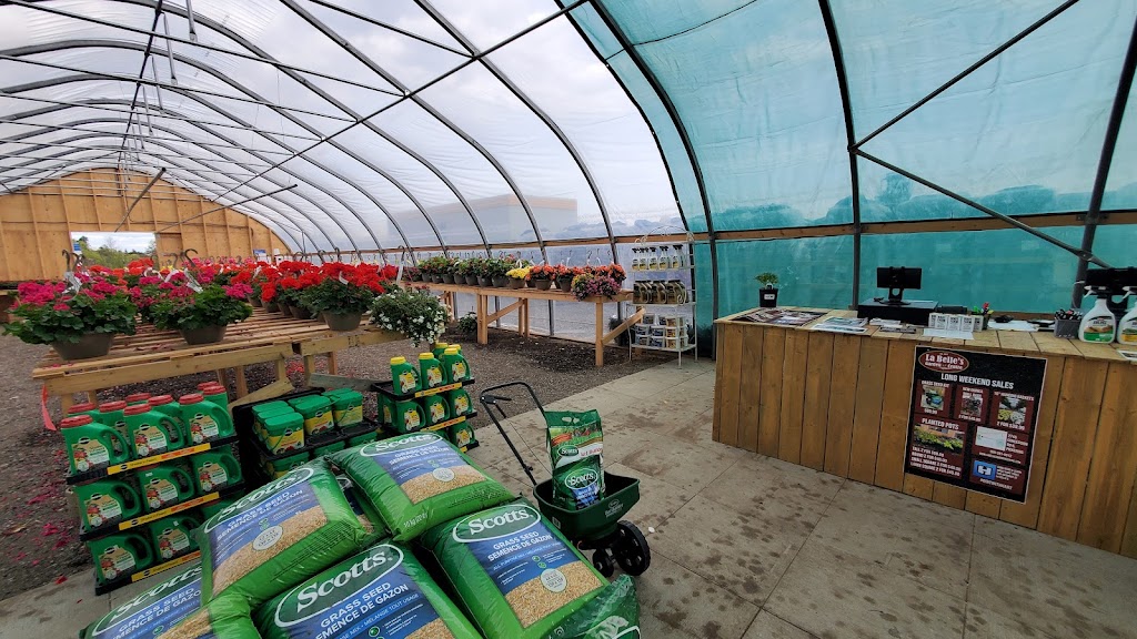 La Belle’s Garden Centre | 6th Concession Rd, Pickering, ON L1X 0J6, Canada | Phone: (905) 391-0912