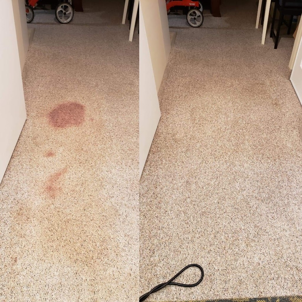 Thornhill Carpet and Upholstery Cleaning Services | 10 Donisi Ave, Vaughan, ON L4J 6G5, Canada | Phone: (647) 244-4477
