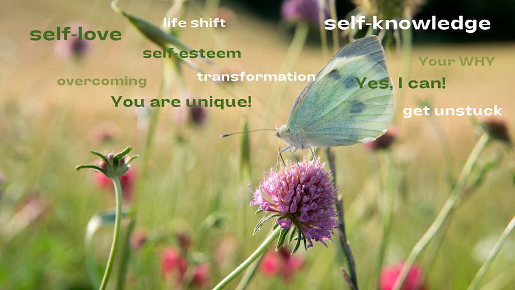 Silvana Smejoff Montreal Life COACH - Women 40+ | Rue White, Montréal, QC H4M 2W1, Canada | Phone: (514) 606-5450