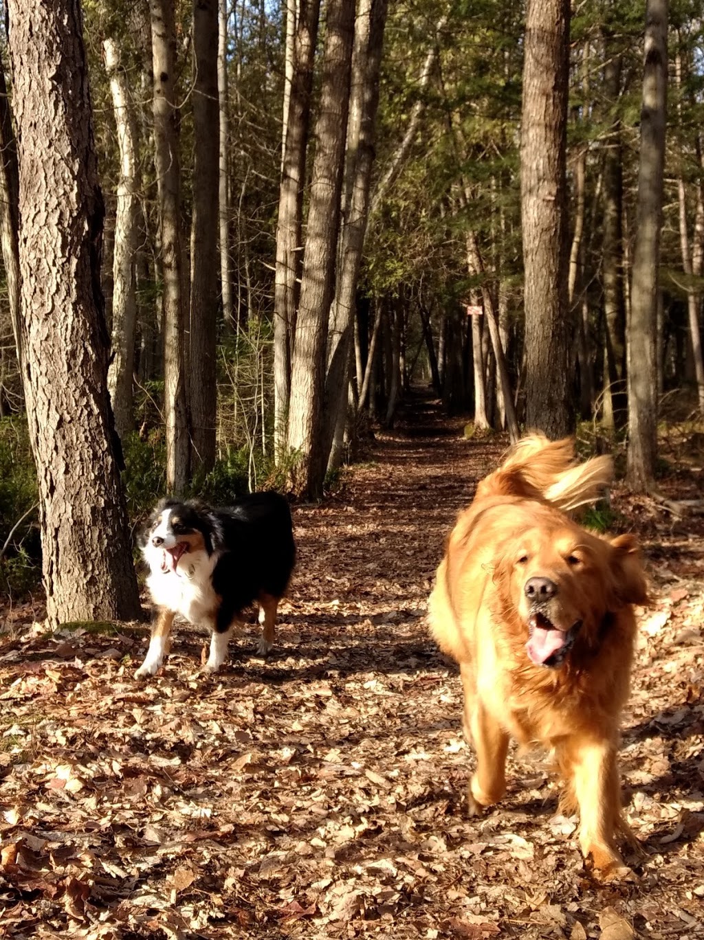 The trails of the Peninsula | 2001 Rue Jean Pierre, Repentigny, QC J5Z 0C3, Canada | Phone: (450) 585-0121