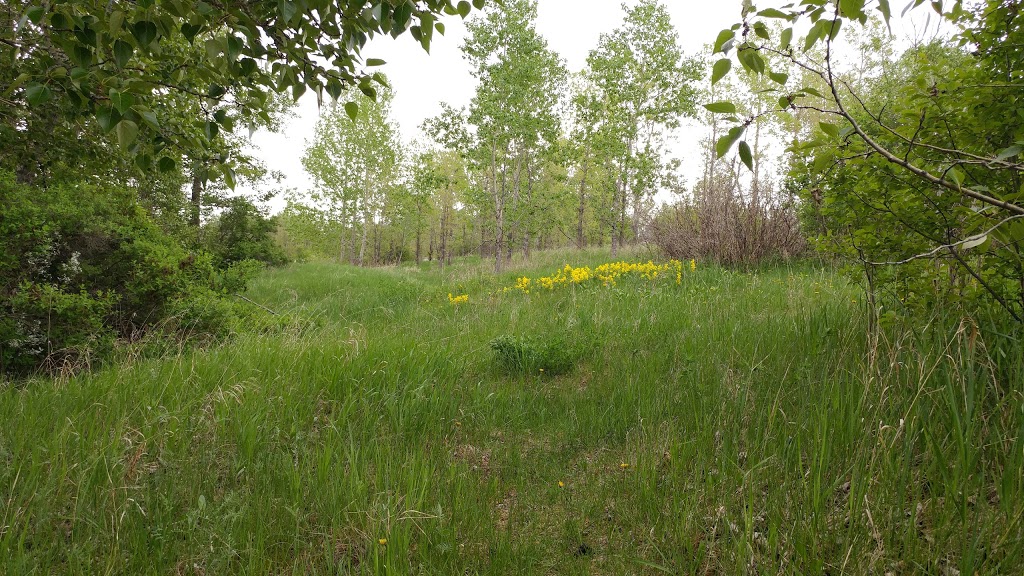Pumphouse Off Leash Area | 3P5, Bow River Pathway, Calgary, AB T3C 3P5, Canada
