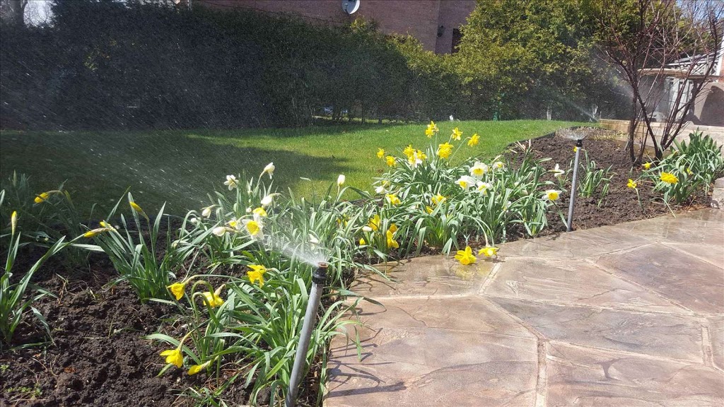 Green Yard Irrigation LTD | 1 Corso Garibaldi Rd, Woodbridge, ON L4H 0Y1, Canada | Phone: (416) 881-2250