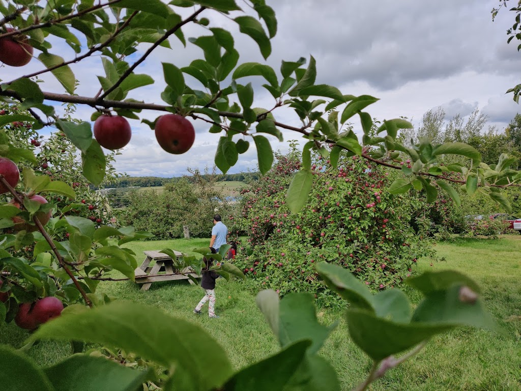 Labonté de la Pomme Verger & Miellerie | 405 Rang de lAnnonciation, Oka, QC J0N 1E0, Canada | Phone: (450) 479-1111