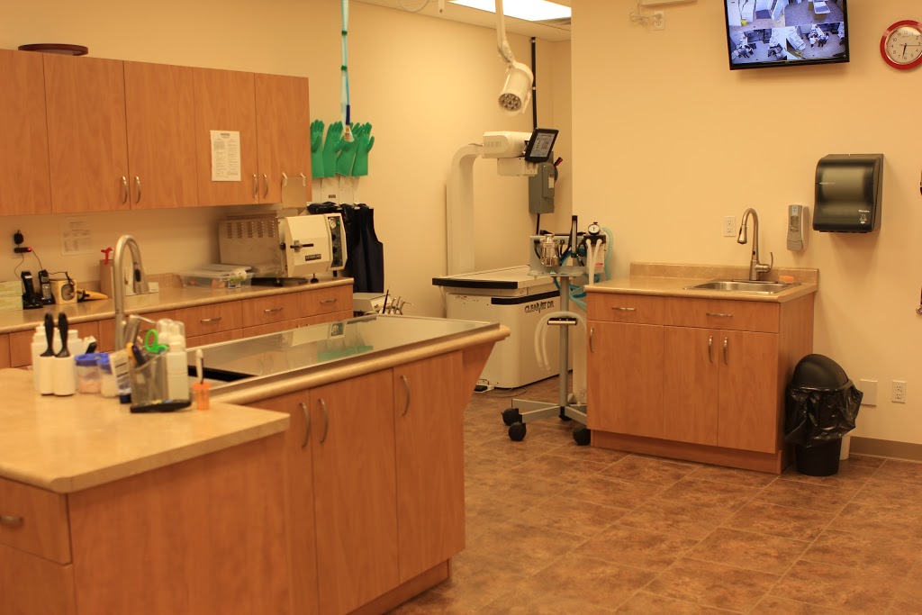 Albany Veterinary Clinic | 16759 127 St NW, Edmonton, AB T6V 0T1, Canada | Phone: (780) 406-3340