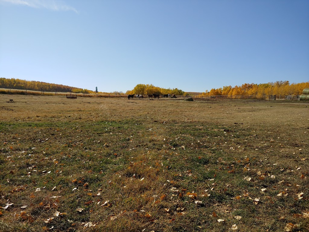 Ranahan Polocrosse Club | Township Rd 202A, Black Diamond, AB T0L 0H0, Canada | Phone: (403) 803-7351